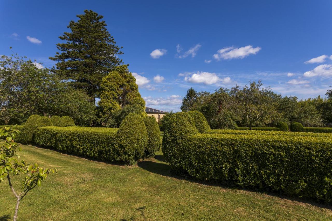 バレイロス Araucaria Houseゲストハウス エクステリア 写真