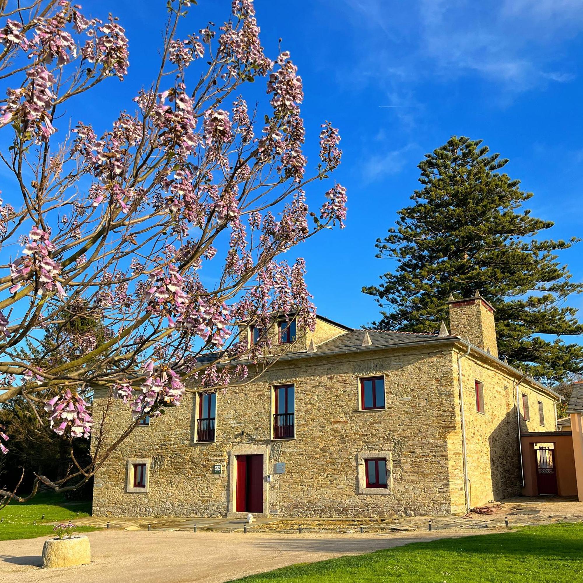 バレイロス Araucaria Houseゲストハウス エクステリア 写真